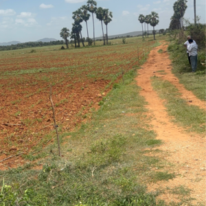 Plot Area in  Land at Vinchipeta – for Sale