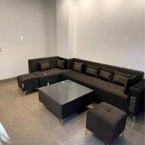 Living Room in 3 BHK Builder Floor at Malviya Nagar – for Rent