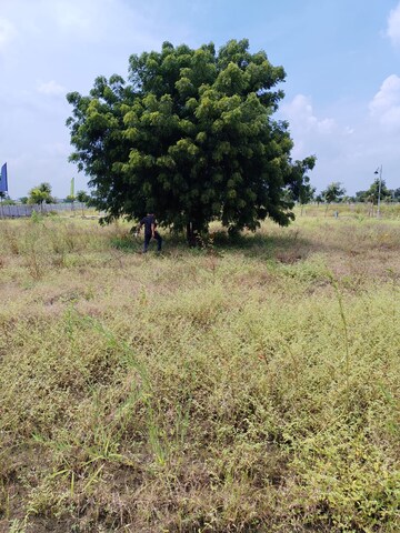 Plot Area in  Plot at Shabad – for Sale