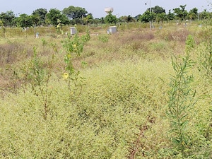 Plot Area in  Plot at Shabad – for Sale