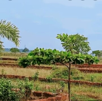 Plot Area in  Plot at Patrapada – for Sale