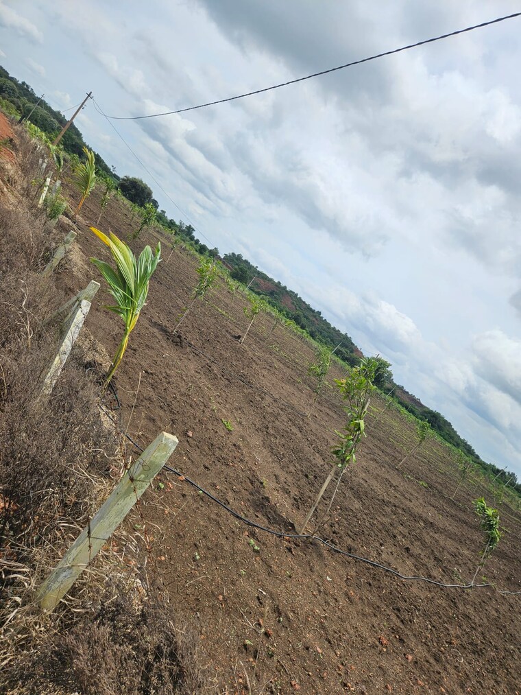 undefined, shamirpet  300 Sq.Yd. Plot In Shamirpet Hyderabad 9220073