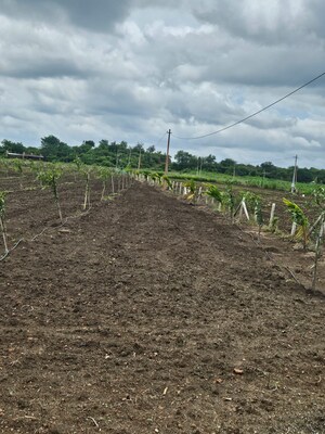 Plot Area in  Plot at Shamirpet – for Sale