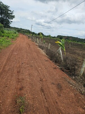 Plot Area in  Plot at Shamirpet – for Sale