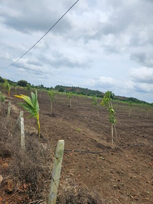 Plot Area in  Plot at Shamirpet – for Sale