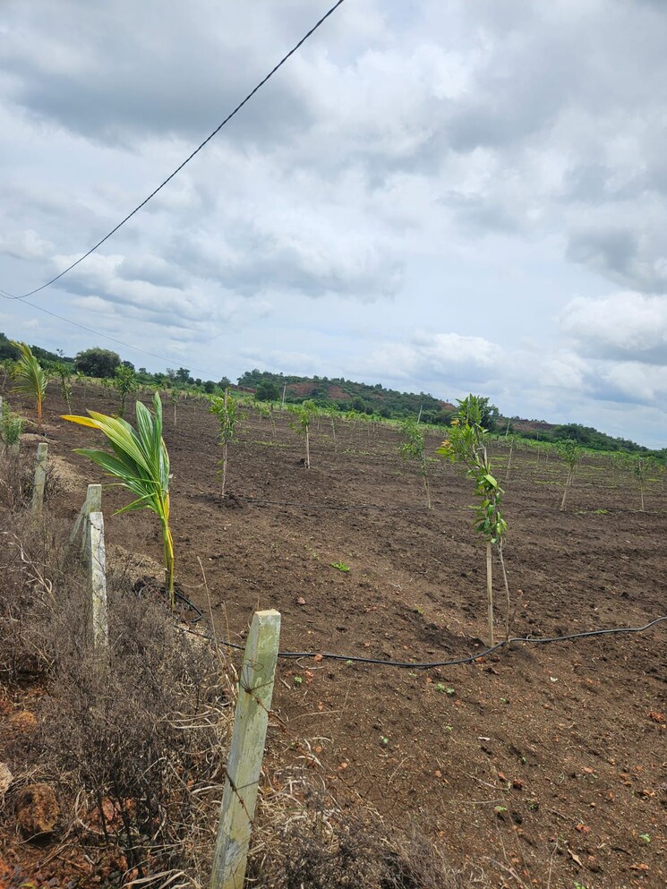 undefined, shamirpet  300 Sq.Yd. Plot In Shamirpet Hyderabad 9220073