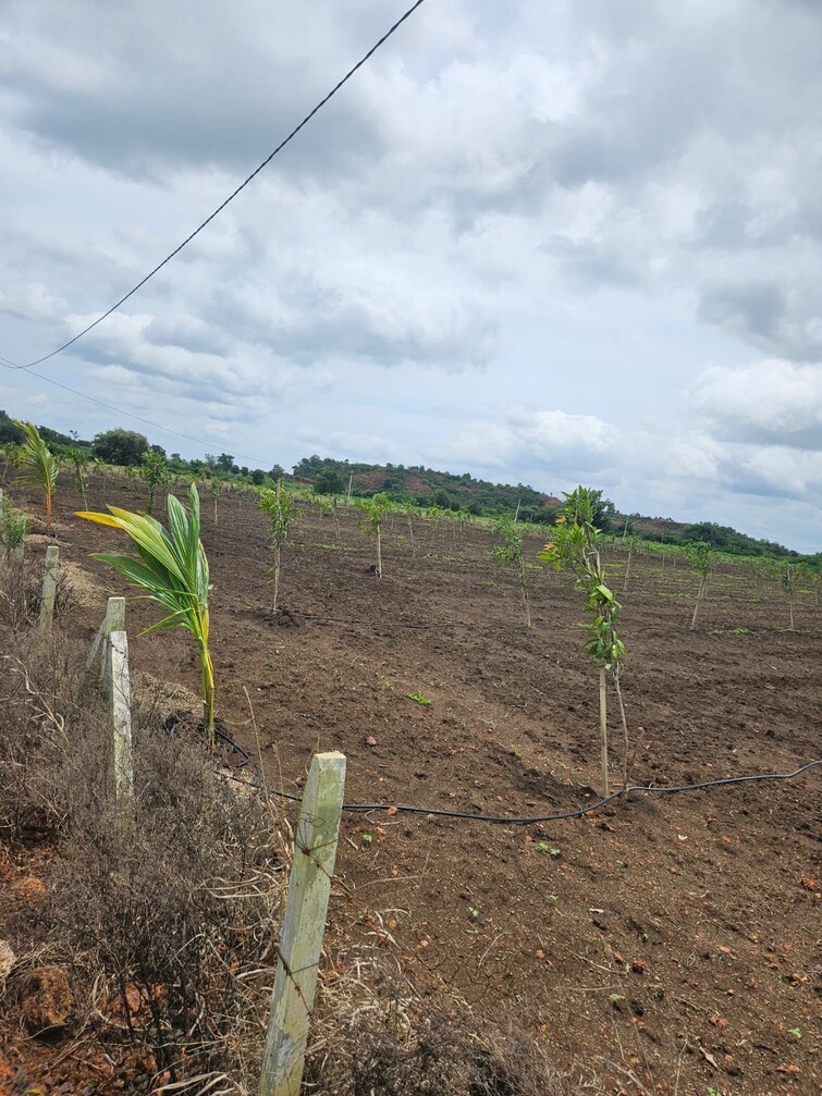 undefined, shamirpet  300 Sq.Yd. Plot In Shamirpet Hyderabad 9220073