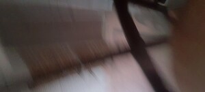 Room in 2.5 BHK Independent House at Sector 7 – for Rent