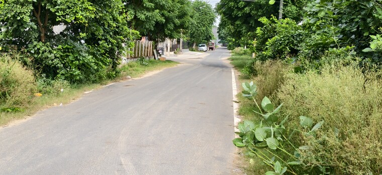 Exterior View, jagatpura  301 Sq.Yd. Plot In Jagatpura Jaipur 9220365