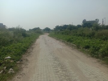 Plot Area in  Plot at Altus Prime, North Mullanpur – for Sale