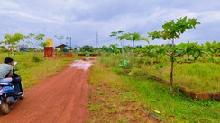 Plot For Sale in Patrapada