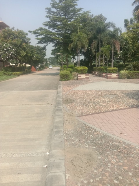 Plot For Sale in Omaxe New Chandigarh