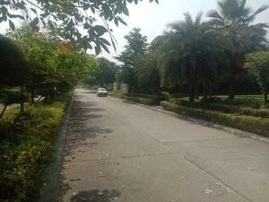 Plot Area in  Plot at Omaxe New Chandigarh, North Mullanpur – for Sale
