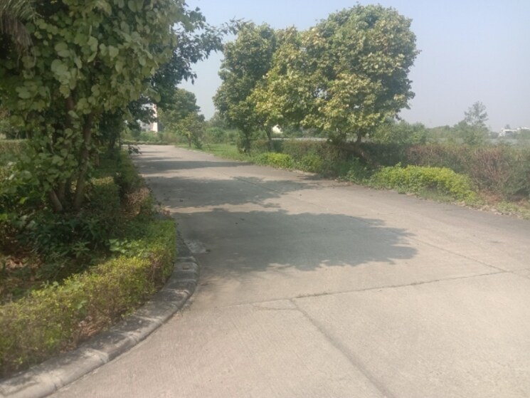 Garden, omaxe-new-chandigarh  300 Sq.Yd. Plot In North Mullanpur Chandigarh 9220435