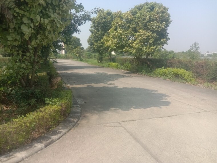 Garden, omaxe-new-chandigarh  300 Sq.Yd. Plot In North Mullanpur Chandigarh 9220435