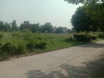 300 Sq.Yd. Plot in Omaxe New Chandigarh