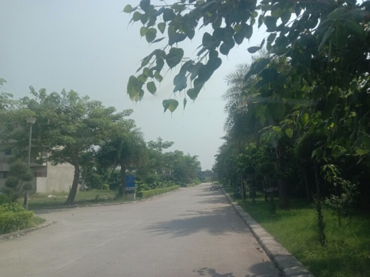 undefined, omaxe-new-chandigarh  150 Sq.Yd. Plot In North Mullanpur Chandigarh 9220474