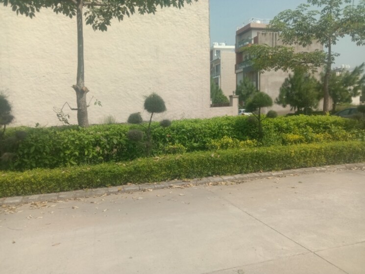 undefined, omaxe-new-chandigarh  150 Sq.Yd. Plot In North Mullanpur Chandigarh 9220474