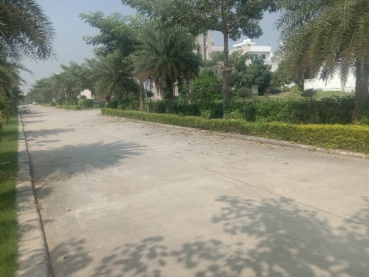 Exterior View, omaxe-new-chandigarh  125 Sq.Yd. Plot In North Mullanpur Chandigarh 9220508