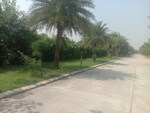 125 Sq.Yd. Plot in Omaxe New Chandigarh