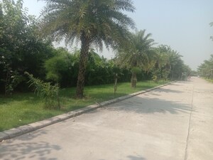  Plot For Sale in Omaxe New Chandigarh, North Mullanpur