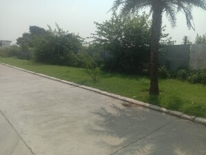  Plot – Garden View at Omaxe New Chandigarh, North Mullanpur - for Sale