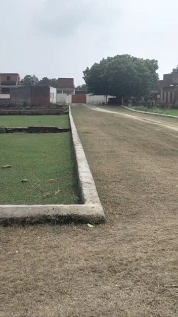 Plot Area in  Plot at Kamta – for Sale