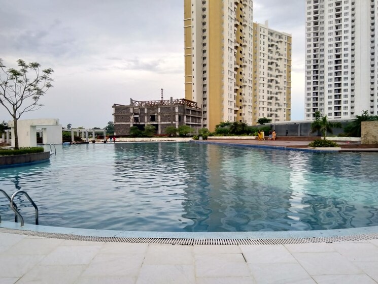Swimming Pool, sushant lok i 3 Bedroom 345 Sq.Yd. Builder Floor In Sushant Lok I Gurgaon 9220916