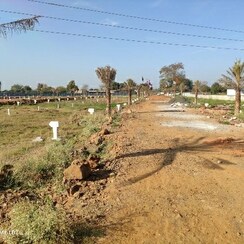Plot For Sale in Barela Road