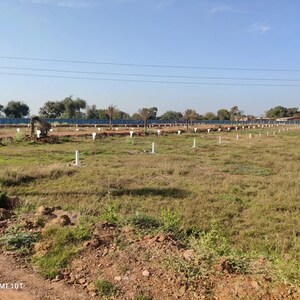 Plot Area in  Plot at Barela Road – for Sale