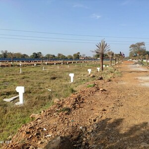 Plot Area in  Plot at Barela Road – for Sale