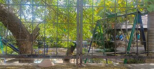  Plot – Exterior View View at Nipania - for Sale