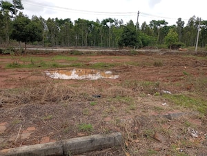 Plot Area in  Plot at Sri Green Acres, Byagadadenahalli – for Sale