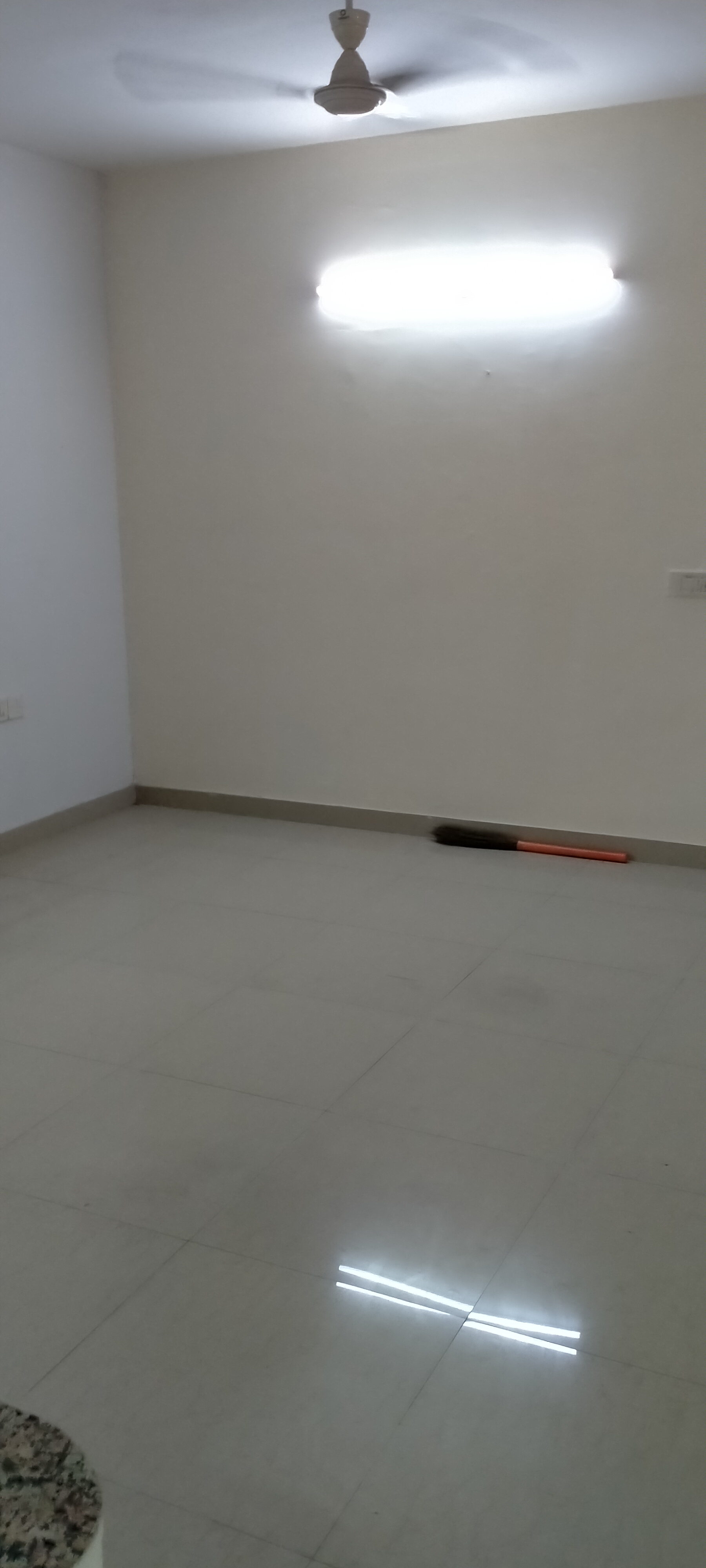 2 BHK Apartment For Rent in Tulip Lemon