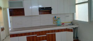Kitchen in 2 BHK Apartment at Tulip Lemon, Sector 69 – for Rent
