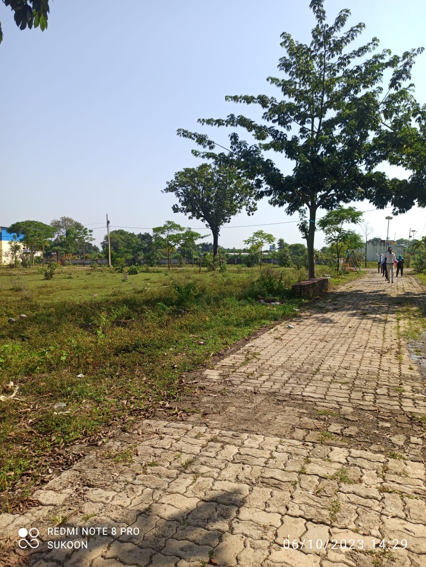 Plot For Sale in Panagar