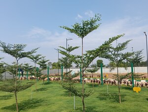 Plot Area in  Plot at LTG Aishwarya Indraprastha, Mysore Road – for Sale