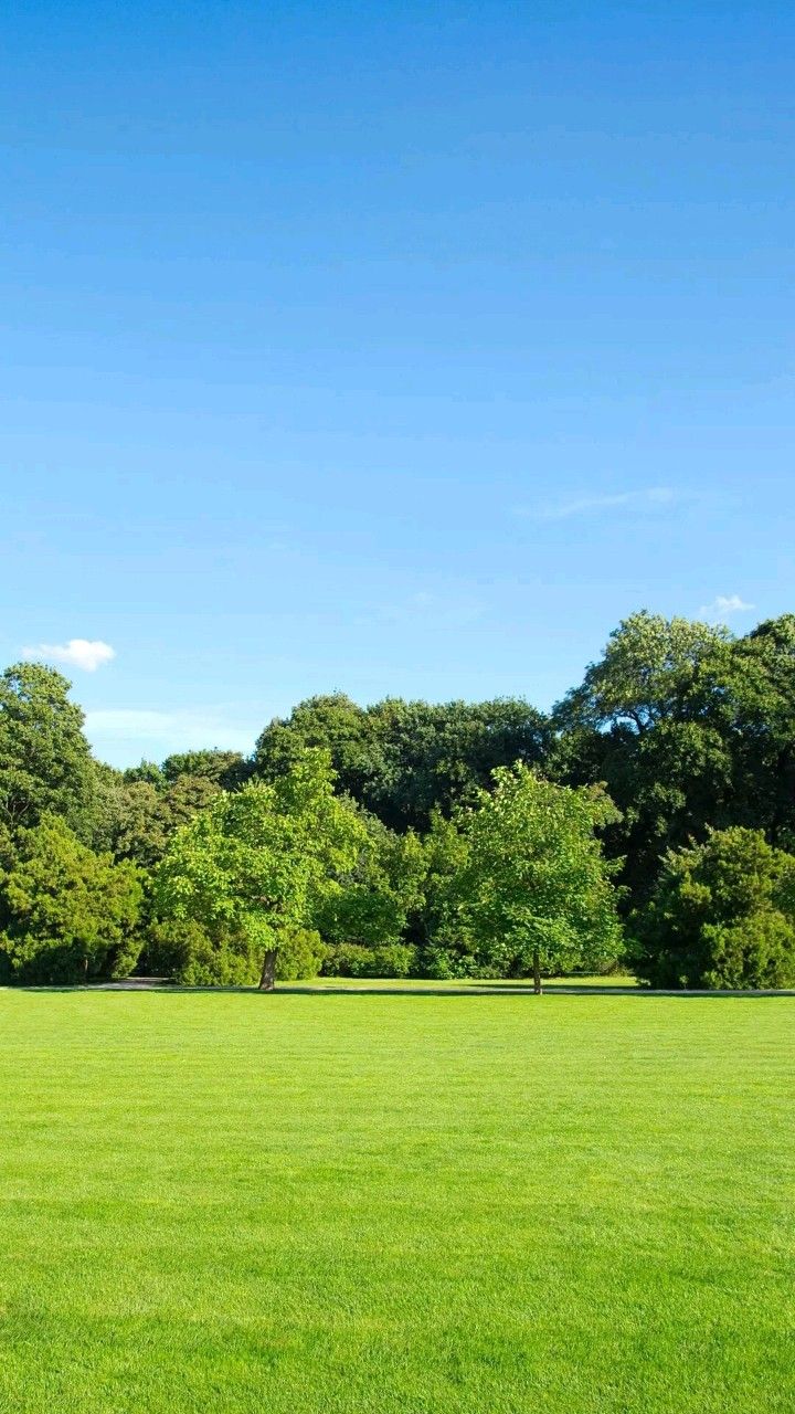 Plot For Sale in Sachin Luxury Farm Land  