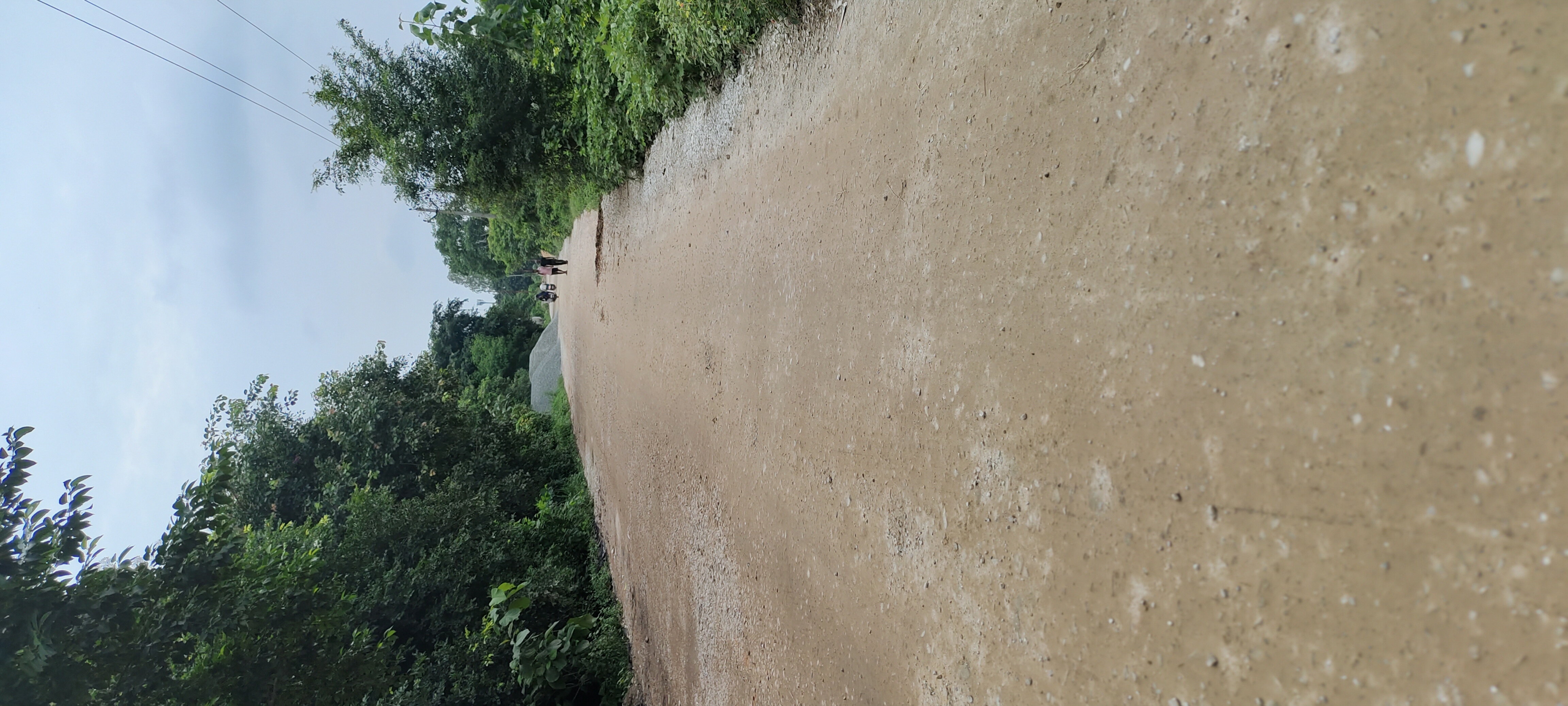 Plot For Sale in Rohania