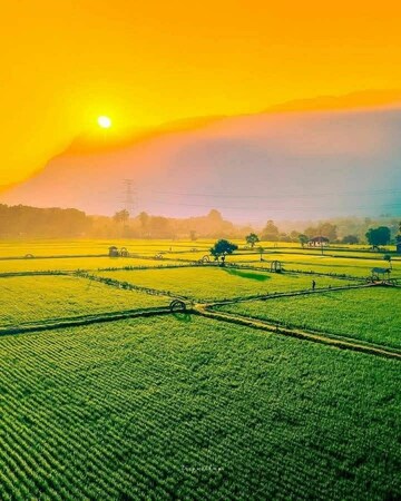  Plot For Sale in Hosur Road