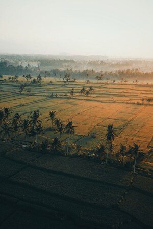  Plot For Sale in Hosur Road