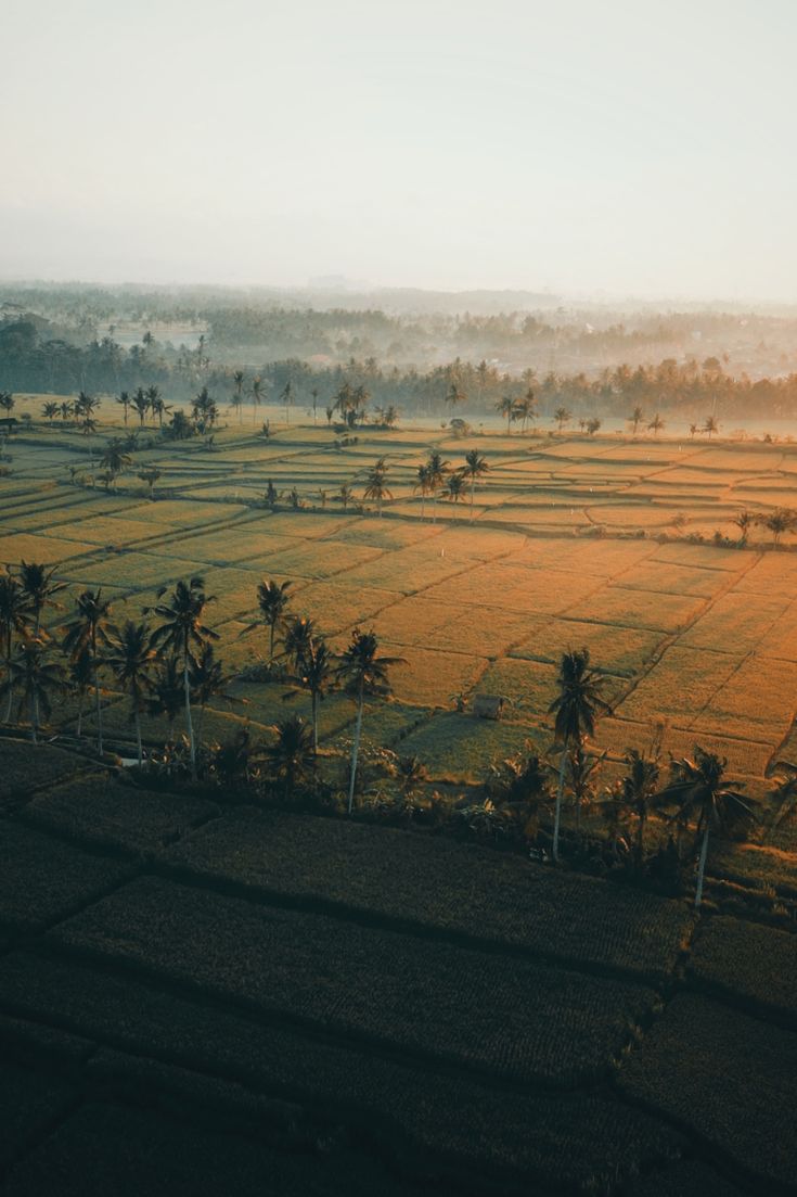 Plot For Sale in Sachin New Farm Land  Wit