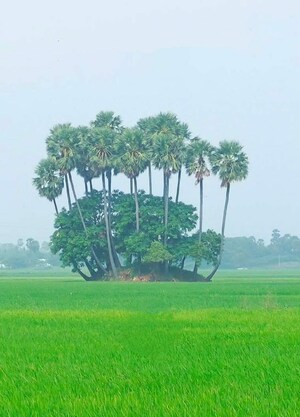  Plot For Sale in Hosur Road