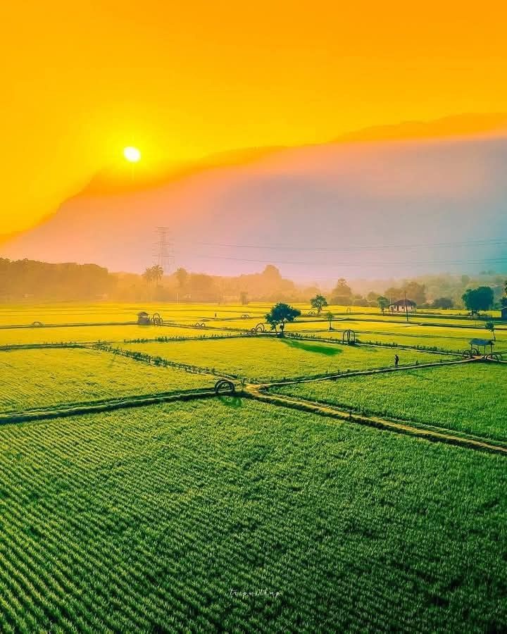 Plot For Sale in Sachin New Farm Land  Wit