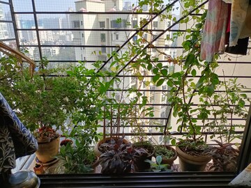 Balcony in 2 BHK Apartment at Shiv Shrishti CHS, Powai – for Rent