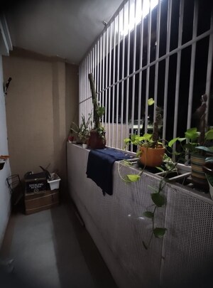 Balcony in 2 BHK Builder Floor at Vijay Vihar Apartments Gurgaon, Sector 30 – for Rent