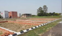 Plot For Sale in Sector 128