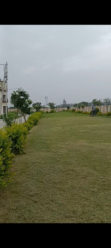 Plot Area in  Plot at Ringnodiya – for Sale