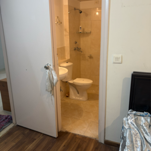 Bathroom in 3 BHK Apartment at Piedmont Taksila Heights, Sector 37c – for Rent