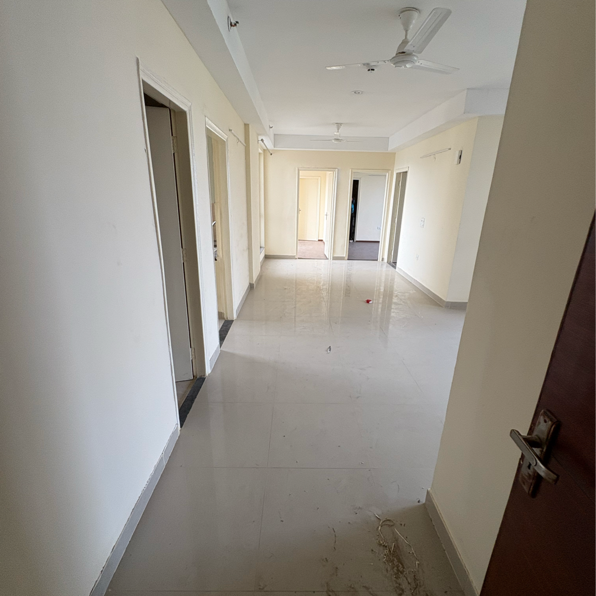 3 BHK + Servant Room Apartment For Rent in Imperia Esfera